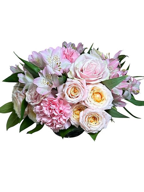 Fight Like A Girl!: Breast Cancer Awareness