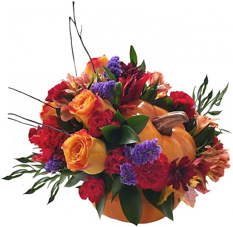 Pumpkin Spice Dreams