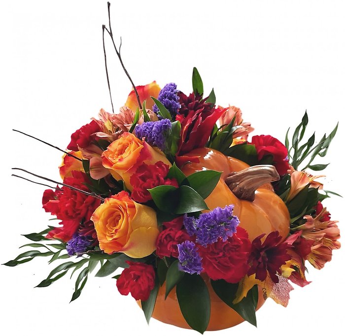 Pumpkin Spice Dreams