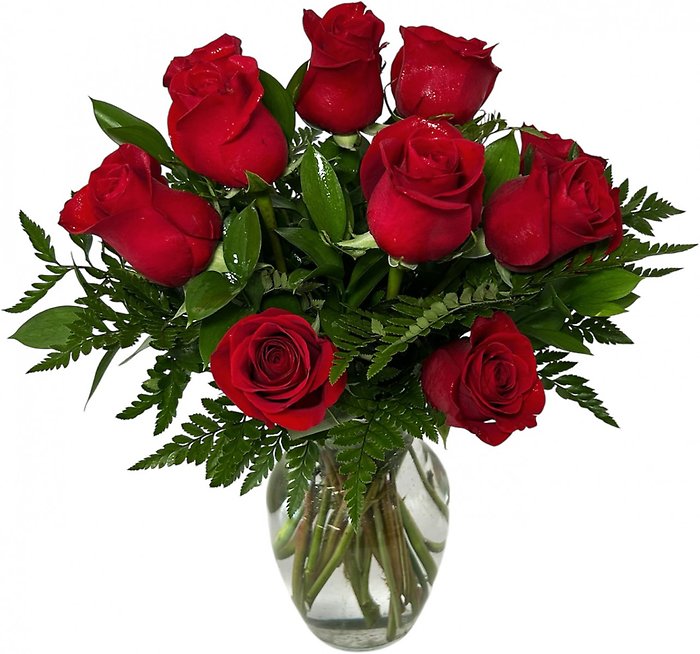 One Dozen Long Stemmed Roses