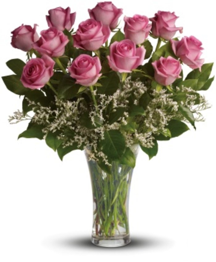 Make Me Blush - 12 Long Stemmed Pink Roses