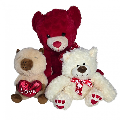 Vday Mystery Plushie