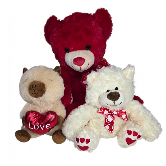 Vday Mystery Plushie